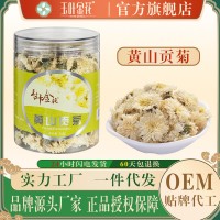 玉叶金花罐装35克正品安徽黄山贡菊花草茶500g散装白菊花茶养生茶
