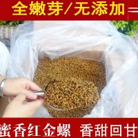 金螺滇红茶云南凤庆500g蜜香金芽茶红螺1斤古树工夫功夫茶叶