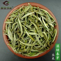 2023年新绿茶云南清香型明前春茶普洱滇绿茶芽春芽白毫茶叶