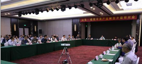 微信截图_20230717141547