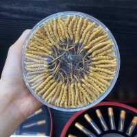 顾源堂 4000条规格西藏那曲虫草 批发冬虫夏草 送礼佳品
