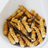 【处理断草】断冬虫夏草野生滋补非泡酒料自用西藏那曲断虫草干货