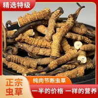 正宗断草礼罐装非西藏那曲冬虫夏草冬虫草断虫草大量批发干货送礼