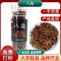 珍皇厨八角80g瓶装 八角卤肉炒菜调料 源头工厂定 制免费打粉代发