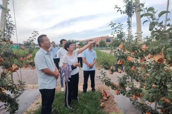 微信截图_20230724134131