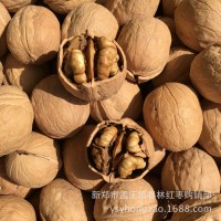 新疆薄皮核桃2021新货三三核桃薄纸皮干果易剥坚果零食包邮