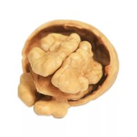 新货批发新疆薄皮核桃 500克代发@