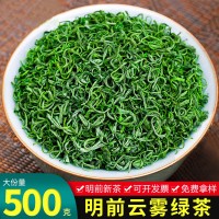 日照新茶明前炒青绿茶散装 高山云雾绿茶500g碧螺春茶叶批发市场