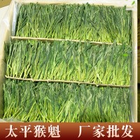 天然峰 太平猴魁新茶2023绿茶手工捏尖罐装安徽特级雨前茶叶批发