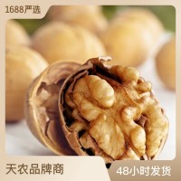 批发核桃新疆185纸皮核桃500克袋装薄皮原味干果孕妇食品 一件代发