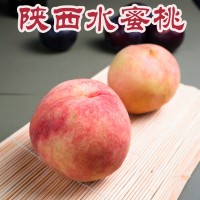 新鲜水果现摘陕西水蜜桃香甜可口毛桃纯甜多汁圆桃子一件代发