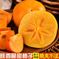 陕西脆柿子 新鲜水果阳丰甜柿子巧克力口感无核硬柿子一件代发
