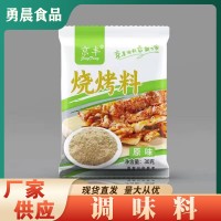 调味料厂家供应烧烤用孜然粉辣椒粉烧烤料30g袋装烧烤香辛调味料