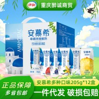 7月新货yili安慕希希腊酸奶原味12盒整箱多口味装多省包邮批发代