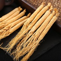 干人参泡酒煲汤熬夜水饮料食品专用干人参锅小干参