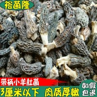 【裕菌隆】 野生羊肚菌 带柄3公分以下小号 酒店山珍美味羊肚菌菇