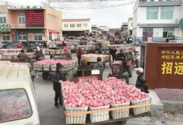 微信截图_20230821134346