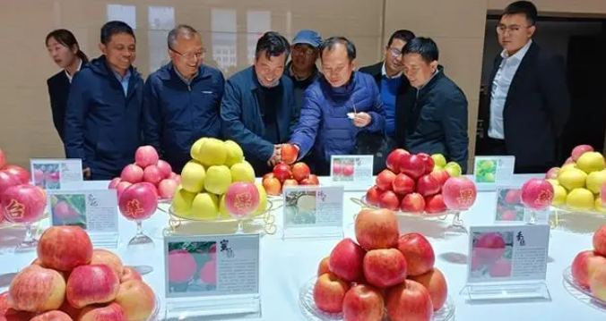 微信截图_20230828124820