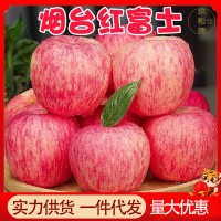 正宗山东烟台红富士苹果10斤整箱栖霞苹果新鲜水果批发脆甜平果