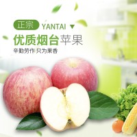 新发地新鲜水果礼品礼盒批发 山东烟台栖霞富士苹果 一件代发