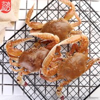 扁蟹500g 东山岛海鲜鲜活冷冻螃蟹 大螃蟹水产批发顺丰发货