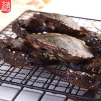 冷冻螃蟹批发 东山海鲜海捕大螃蟹黑蟹500g 顺丰发货海鲜批发
