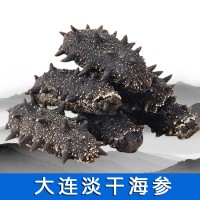 参淡干海参工厂批发大连特产大连海参干货一件代发海参淡干