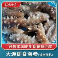 辽渤湾大连海参即食海参刺参批发残缺断块酒店辽参非干货