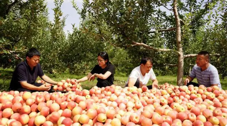 微信截图_20230908115937