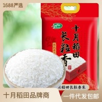 十月稻田 长粒香米东北大米香米粳米米饭煮粥5kg10斤