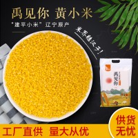 现货批发 低温烘焙真空包装黄小米五谷杂粮礼盒 早餐粥原料