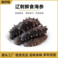 深海大连淡干辽刺参纯淡干海参干货散装批发海参礼盒非即食海参