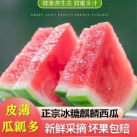 西瓜有籽水果新鲜冰糖麒麟8424皮薄超甜现摘现发当季3--8斤装整箱