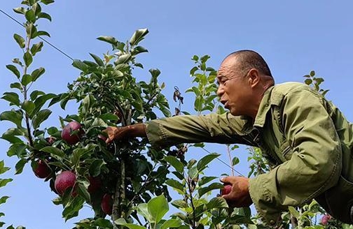 微信截图_20230920125451