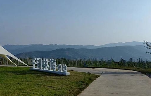 微信截图_20230920125504