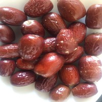 加工定制冻干红枣脆枣厂家散装批发非油炸香酥脆枣 无核嘎嘣脆