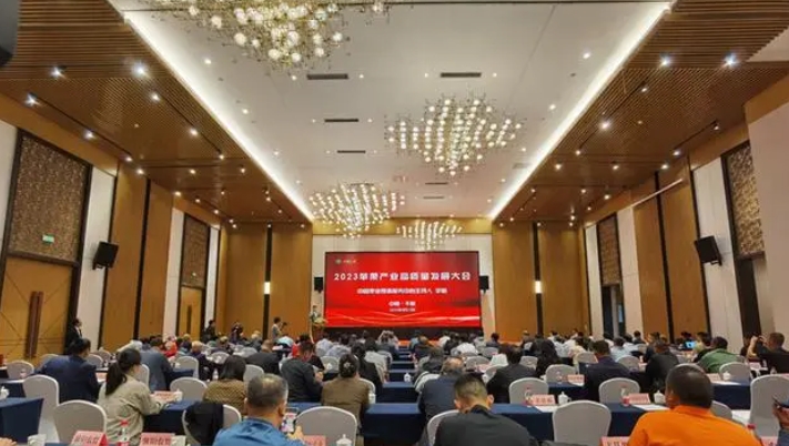 微信截图_20230928134936