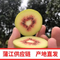 四川蒲江红心猕猴桃 奇异果小果6粒装