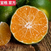 无籽桔子 3斤5斤9斤 皮薄酸甜多汁湖北蜜桔橘子 当季现摘新鲜水果