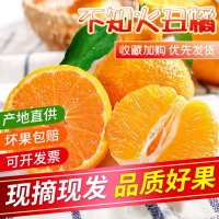 四川丑橘不知火9.10斤桔子丑桔现摘水果新鲜整箱10当季丑八怪耙耙