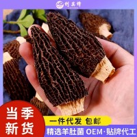 一件代发云南头茬羊肚菌干货500g厚肉大颗煲汤材料菌菇干货羊肚菌