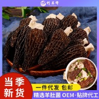 一件代发 云南特产羊肚菌干货250g/袋食用菌菇干货剪柄羊肚菌批发