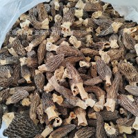 2023年羊肚菌干货菌菇煲汤食材云南土特产礼盒装厂家直批贴牌代工