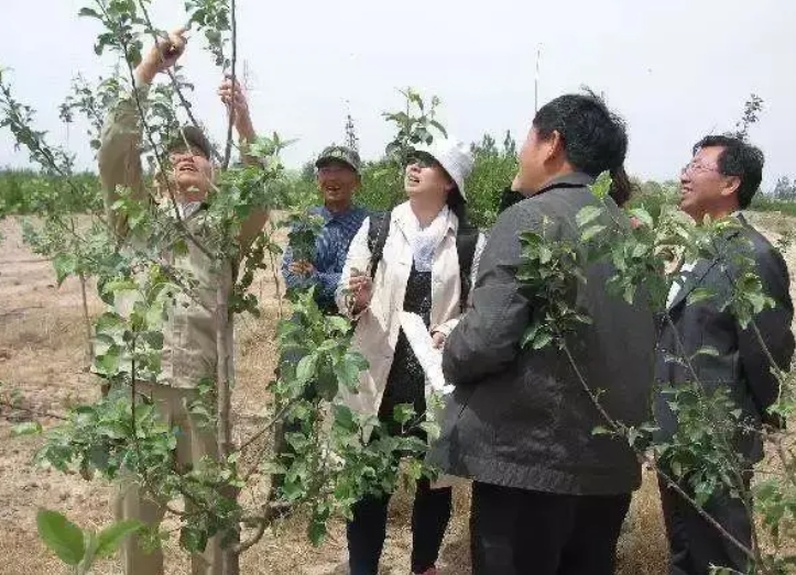 微信截图_20231016114941