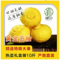 黄金贡柚10斤礼盒装水果企业集采礼品员工福利年货批发量大价优
