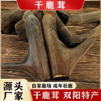 干鹿茸 吉林鹿乡鹿茸整支鹿茸泡酒滋补 头茬二杠鹿茸厂家批发