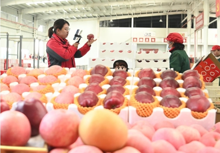 微信截图_20231025111102