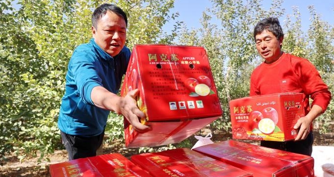 微信截图_20231027112404
