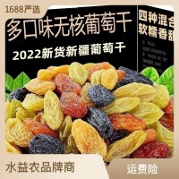 新货四色葡萄干新疆特产非特级超大免洗提子干黑加仑商用零食批发