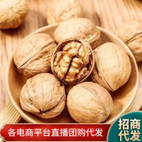 新疆特产185纸皮核桃大量批发代发500g 阿克苏手捏坚果薄皮生核桃